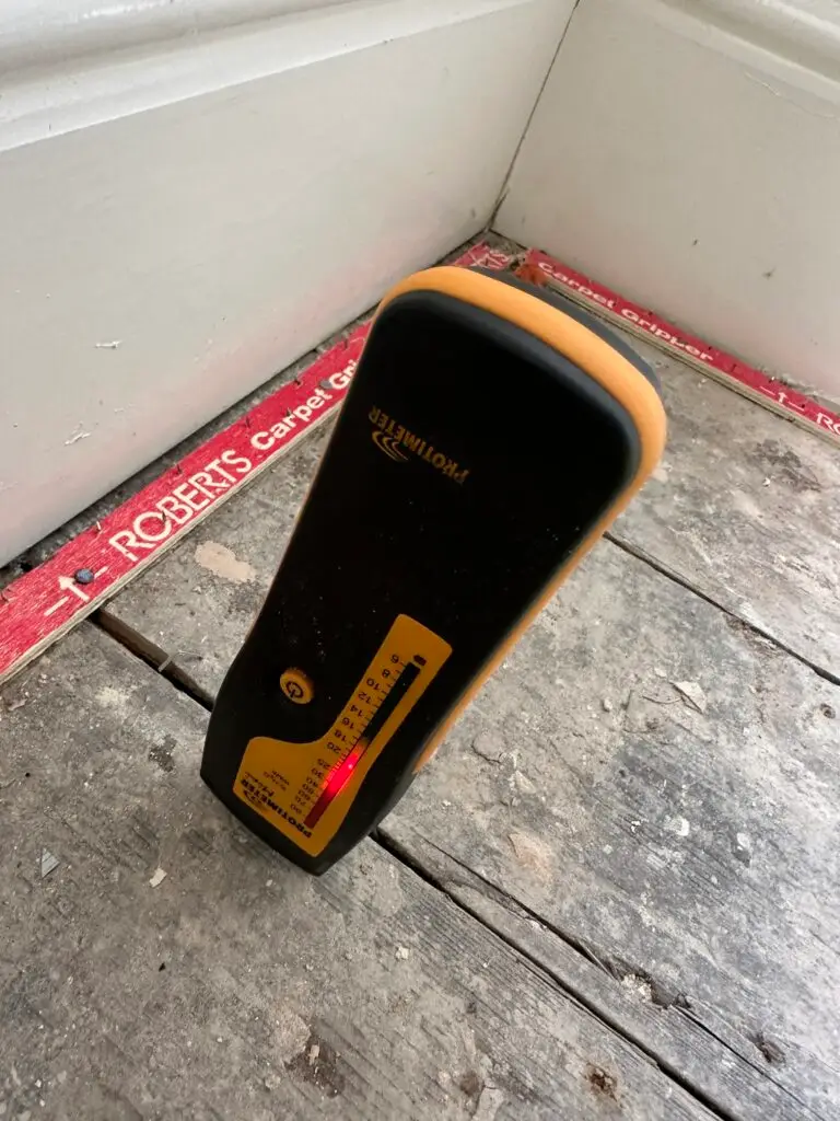 Damp survey South Wales